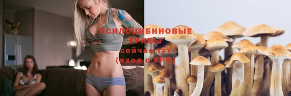 твердый Алексеевка