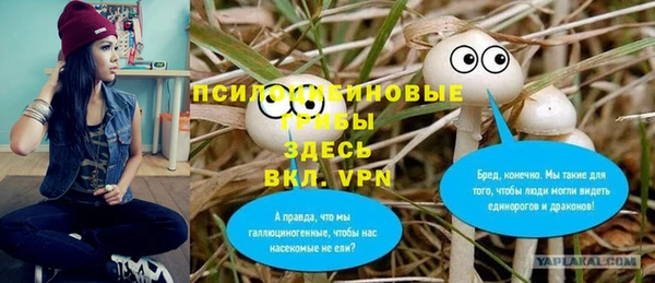 круглые Арсеньев