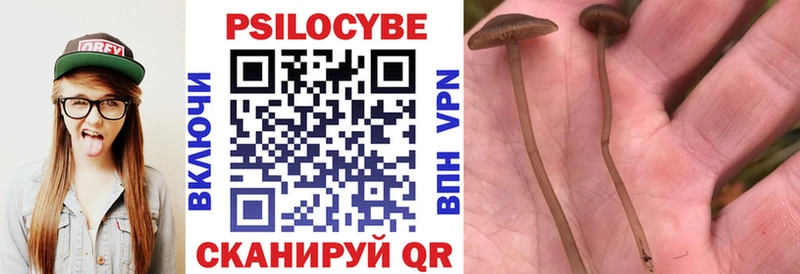 Псилоцибиновые грибы Magic Shrooms  Мытищи 